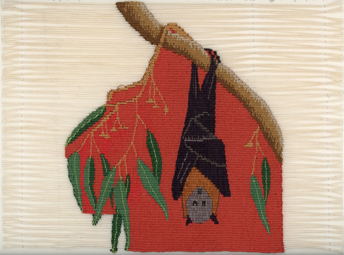 Lady and Bunyip #12 Flying Fox